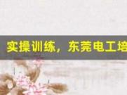 实操训练，东莞电工培训助你技能突破(东莞市哪里有电工培训学校考证)
