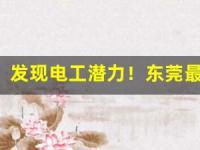 发现电工潜力！东莞最佳培训学校揭晓