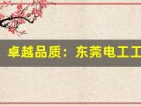 卓越品质：东莞电工工艺培训的教学理念与方法探索(电工技术培训)